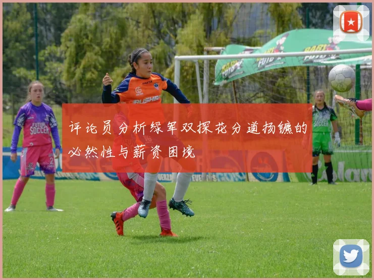 评论员分析绿军双探花分道扬镳的必然性与薪资困境